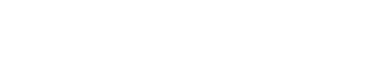 BroadLightGroup Logo